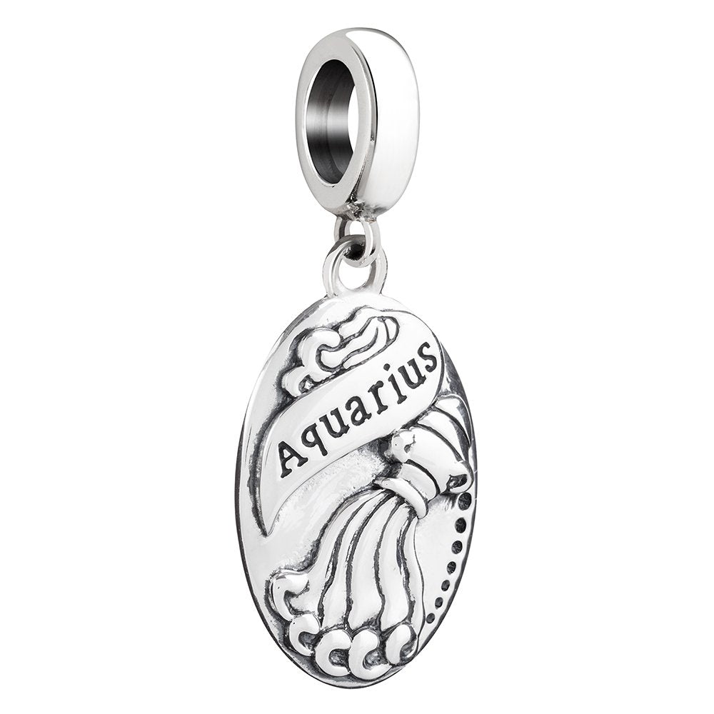 Aquarius Hanging Charm