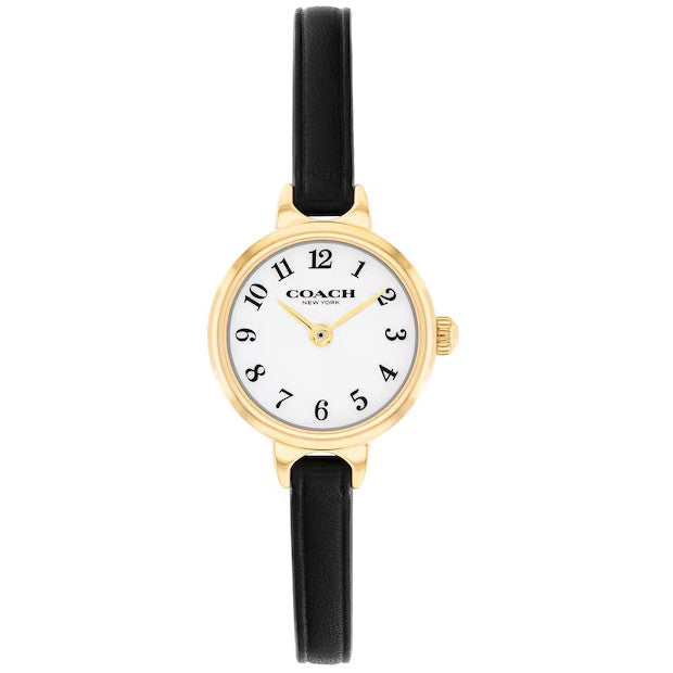 Iris 22mm Black Leather Strap Watch