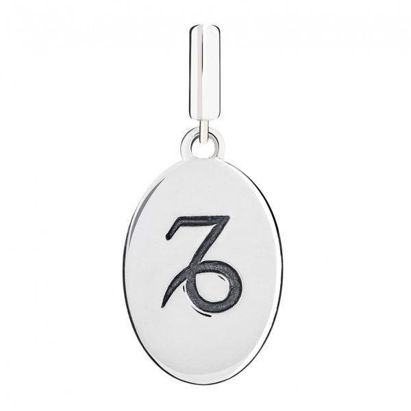 Capricorn Hanging Charm