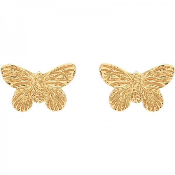 3D Butterfly Stud Earrings Gold