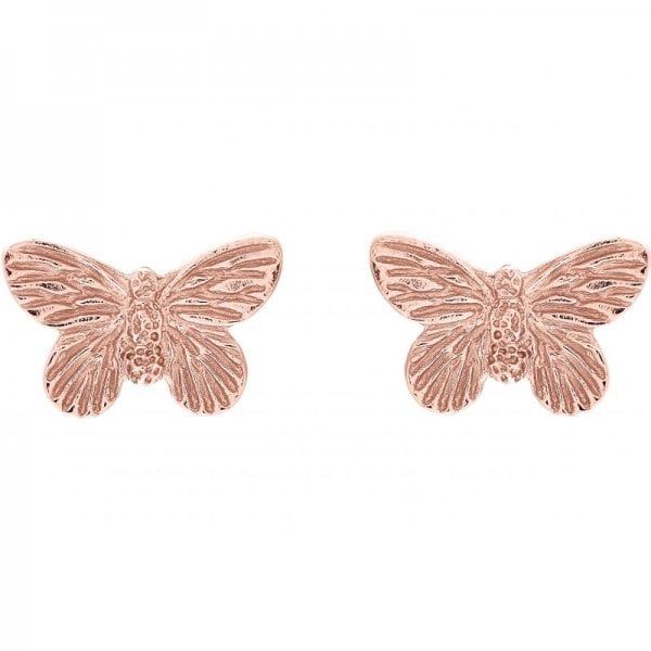 3D Butterfly Stud Earrings Rose Gold