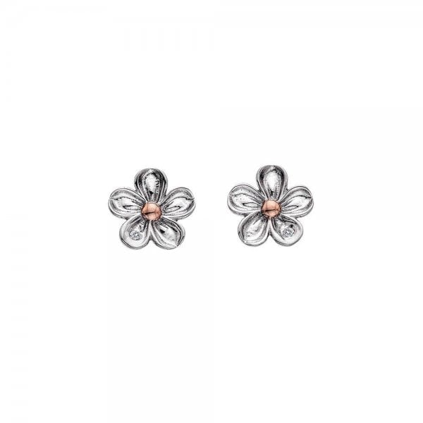 Forget Me Not Stud Earrings