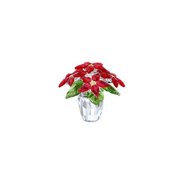 POINSETTIA, LARGE