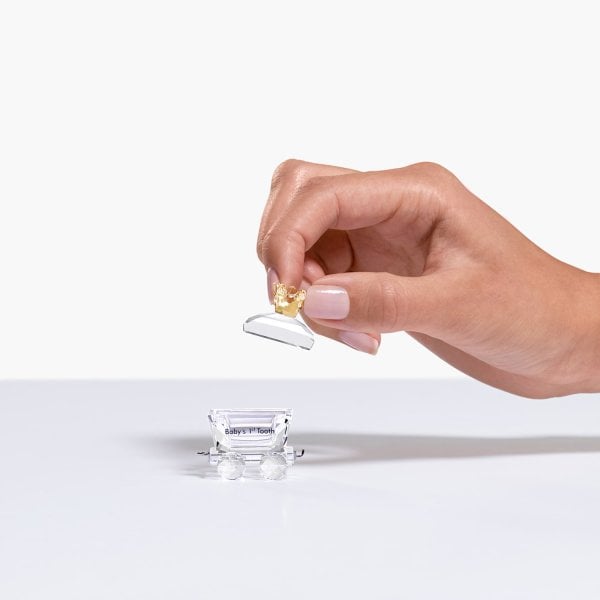 The Baby's 1st Tooth Wagon