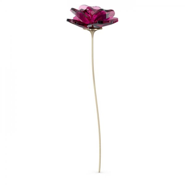 Garden Tales Rose