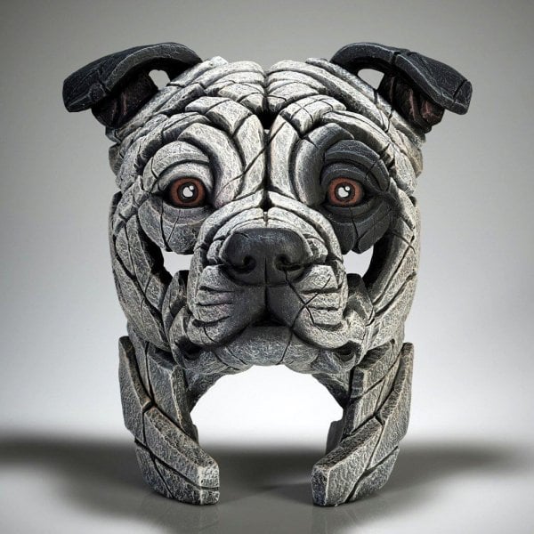 Staffordshire Bull Terrier - Patch
