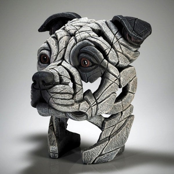 Staffordshire Bull Terrier - Patch