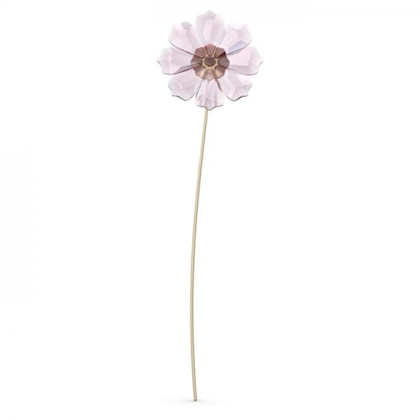 Garden Tales Cosmos
