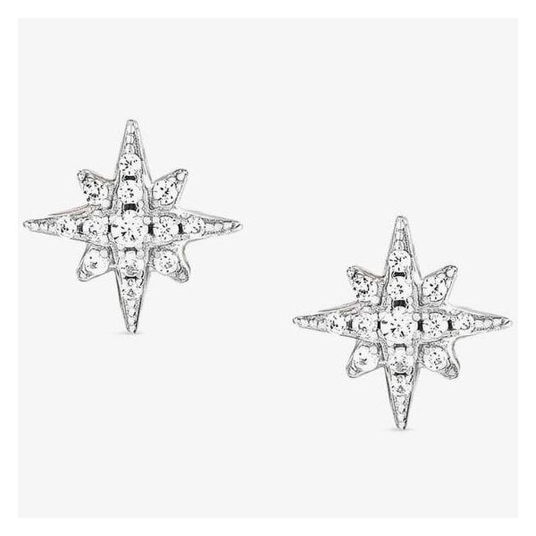 Sweetrock Romance Silver Wind Rose Earrings