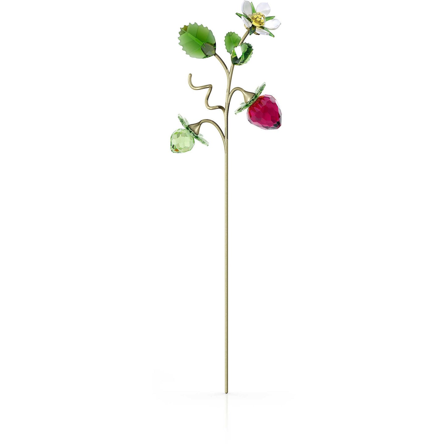 Garden Tales Wild Strawberry
