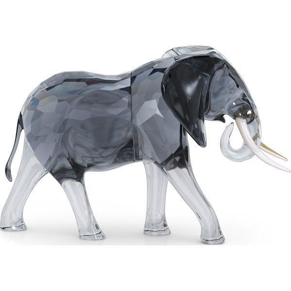 Elegance of Africa Elephant Bull