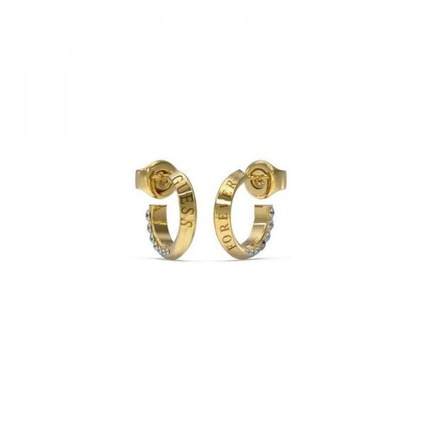 Forever Links Earrings