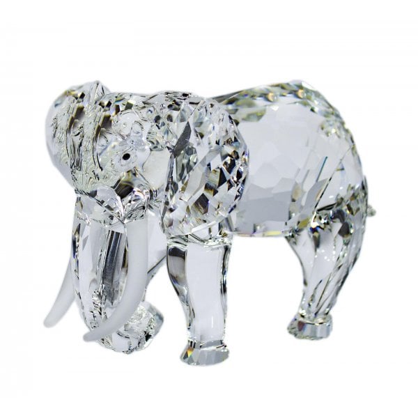 SCS - Annual Edition 1993 - Elephant