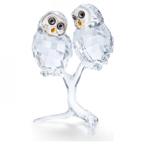 Feathered Beauties: Owl Couple