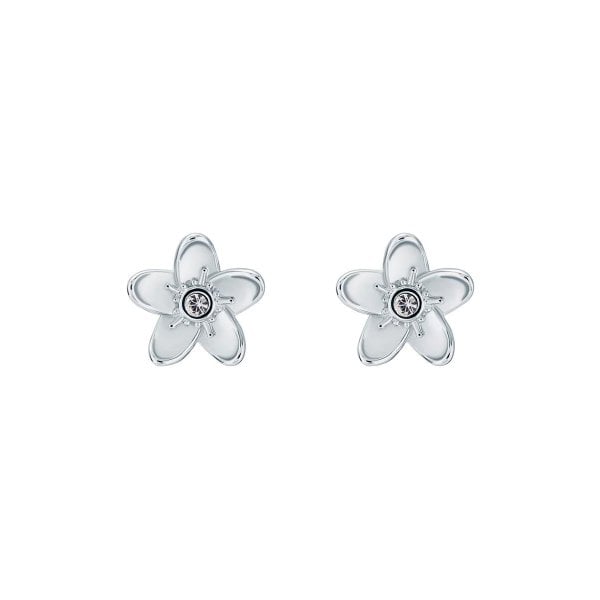 Ted Baker Beaauu Blossom Stud Earrings Silver