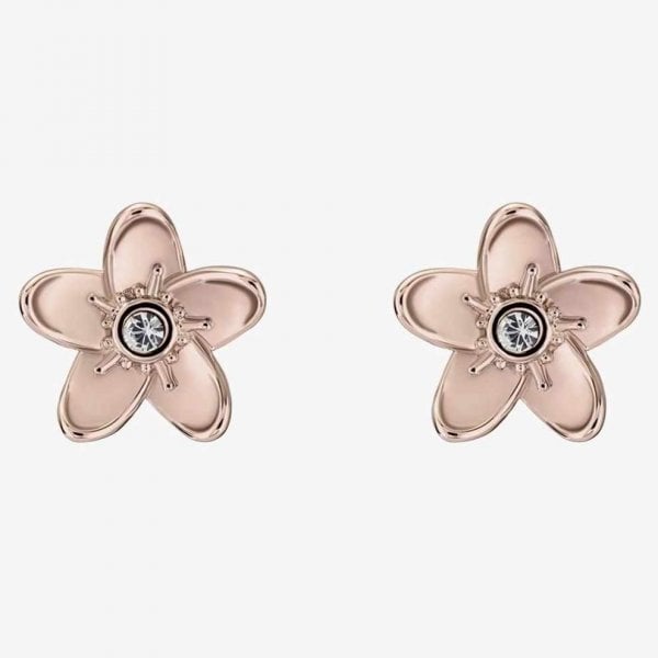 Ladies Ted Baker Jewellery BEAAUU Earrings