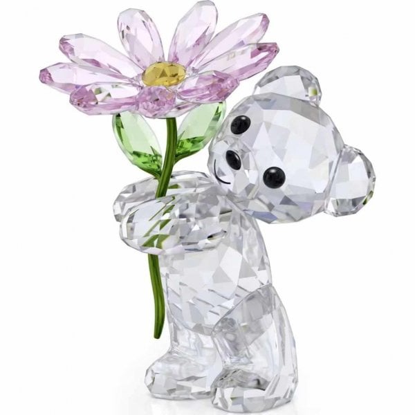 Kris Bear A Daisy for You