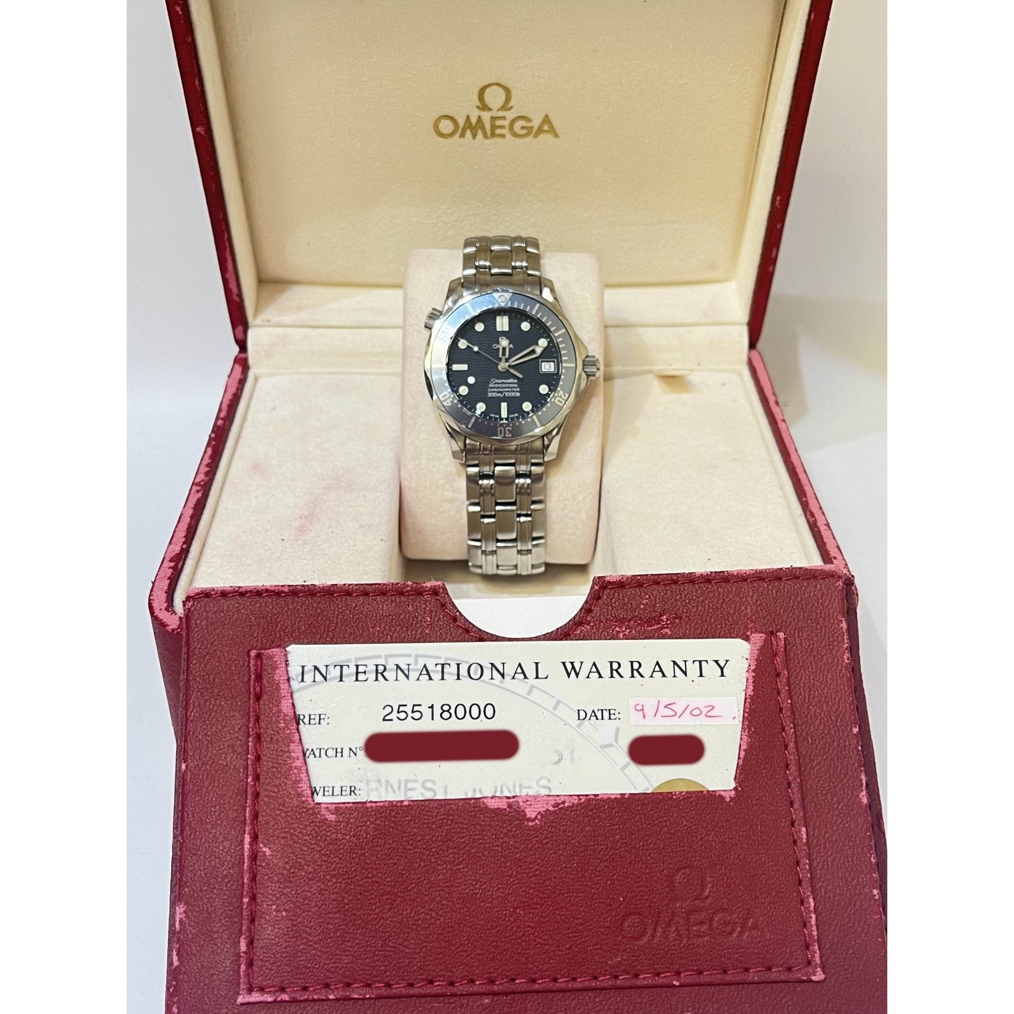 Men's Steel Seamaster 2551800
