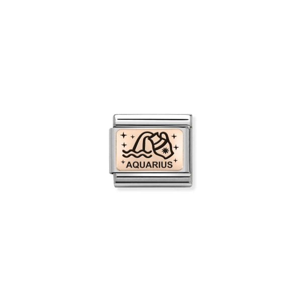 Rose Gold Aquarius
