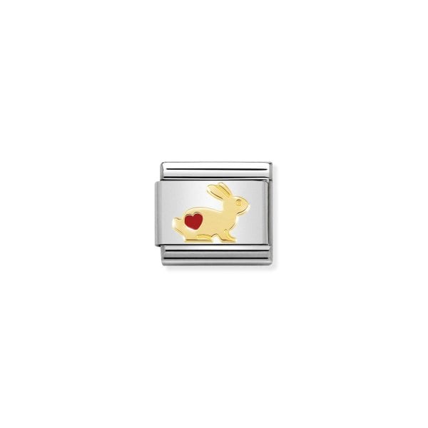 Rabbit with heart