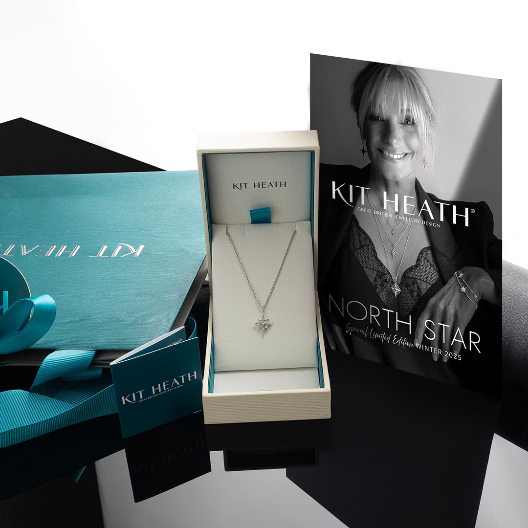 Céleste North Star CZ Petite 18" Necklace