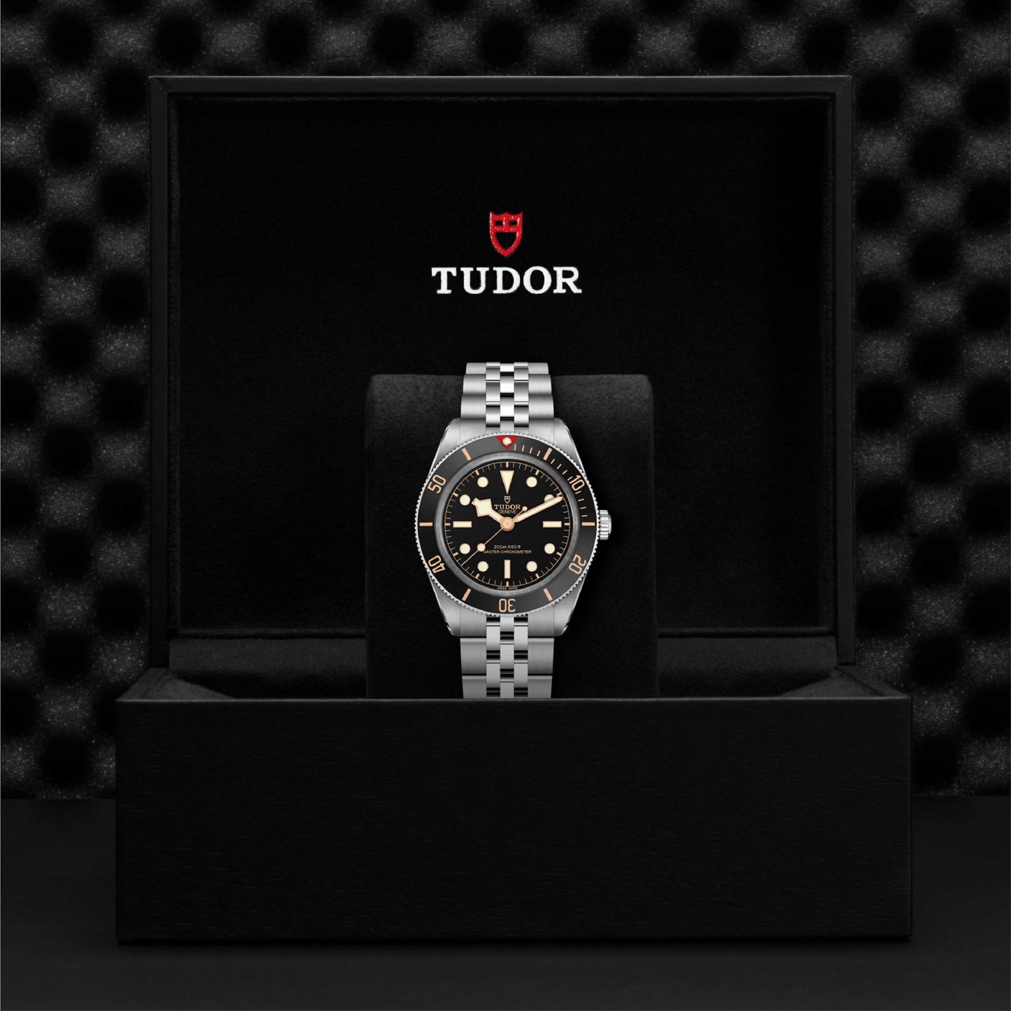 TUDOR Black Bay 58 39mm 5-Link