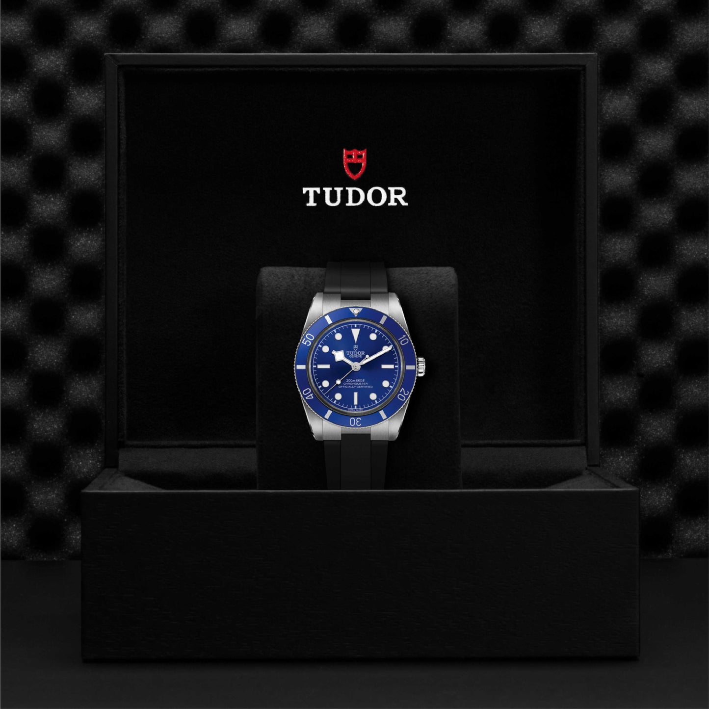 TUDOR Black Bay 54 Rubber 37mm