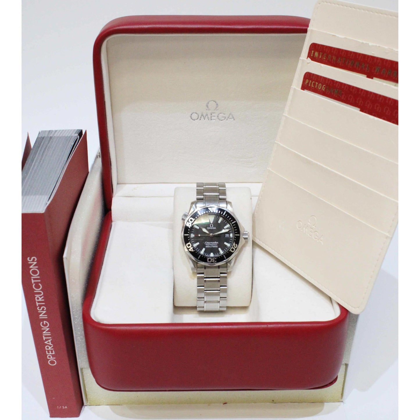 Men's Steel Seamaster 22625000