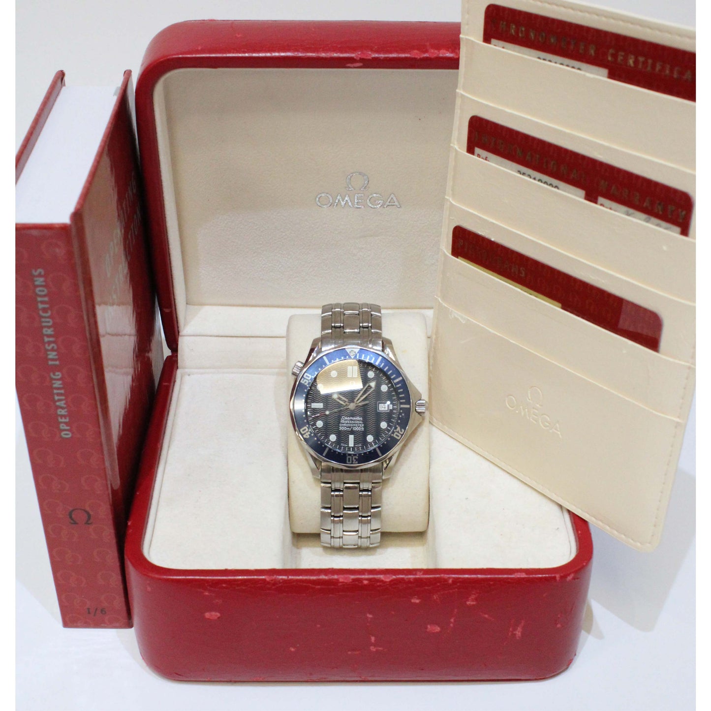 Men's Steel Seamaster 25318000