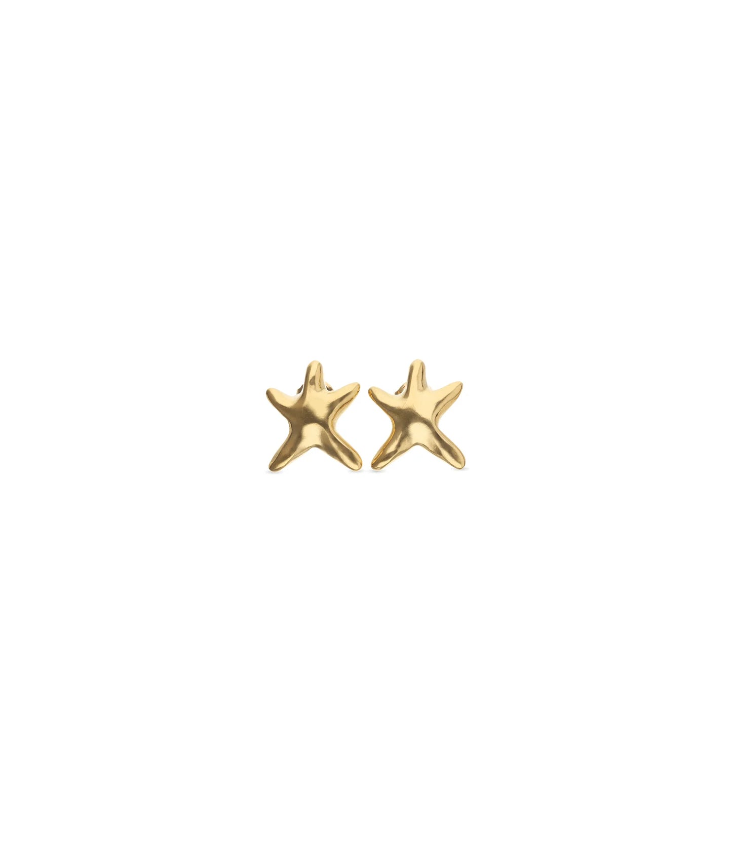 Small starfish earrings in gold