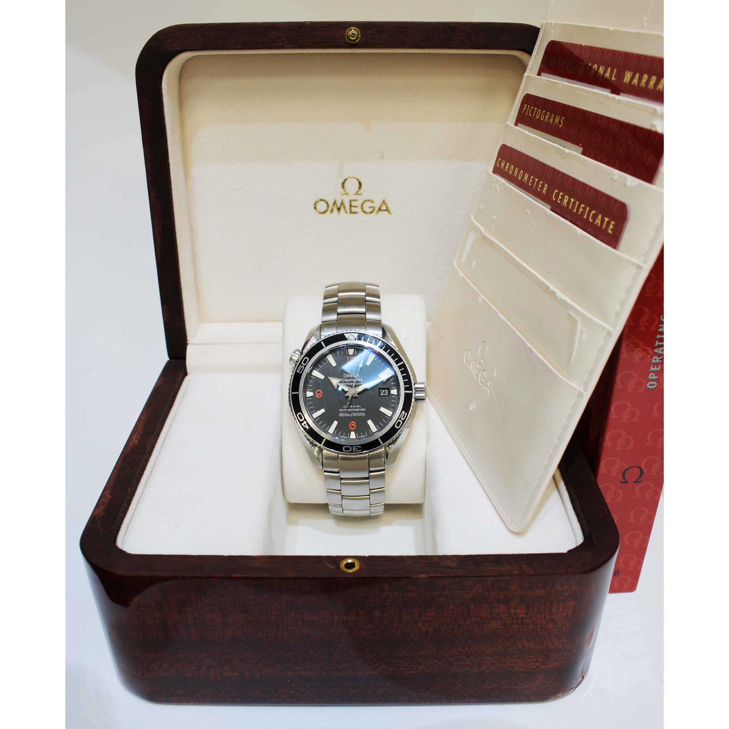 Men's Steel Planet Ocean 22015100