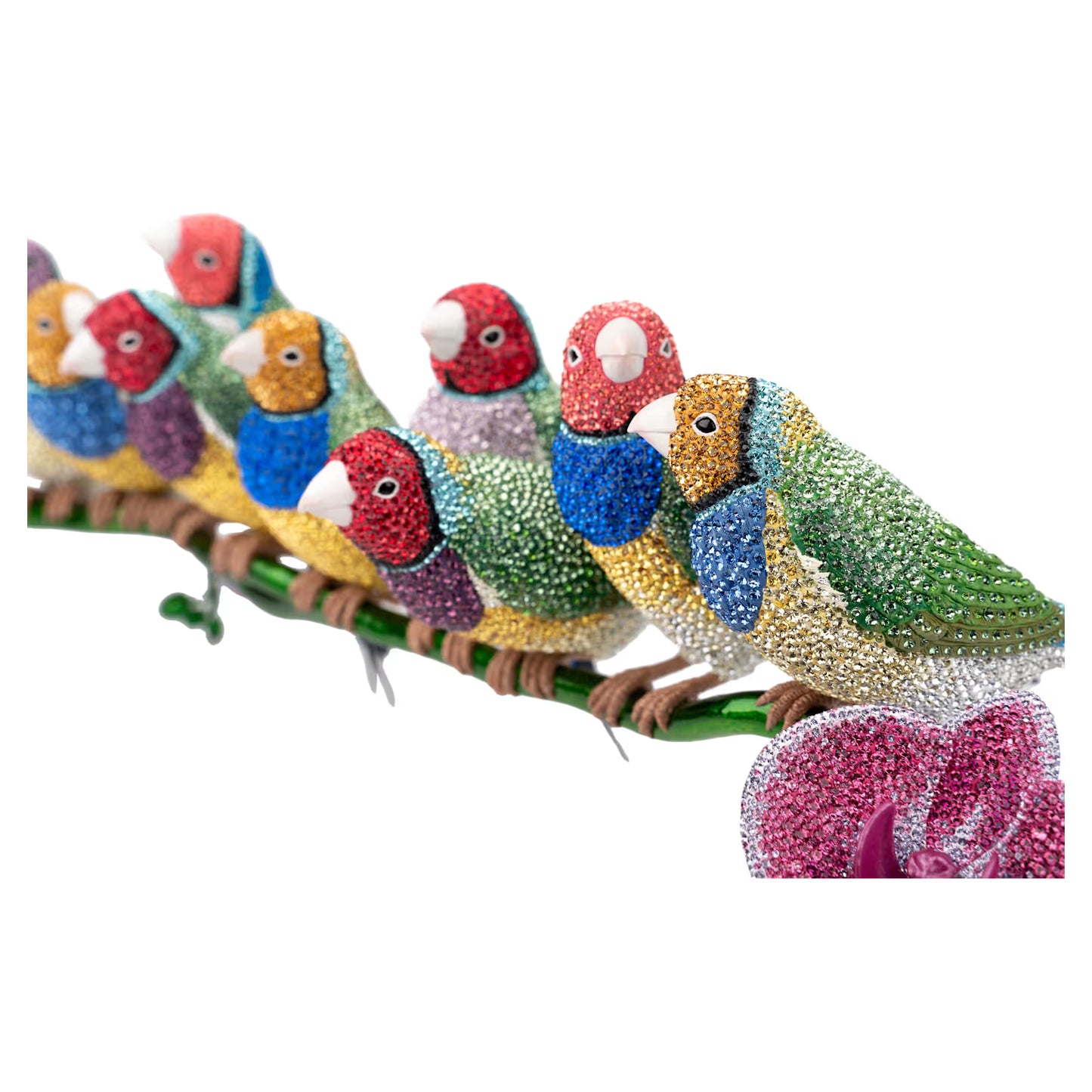 Crystal Myriad Gouldian Finches