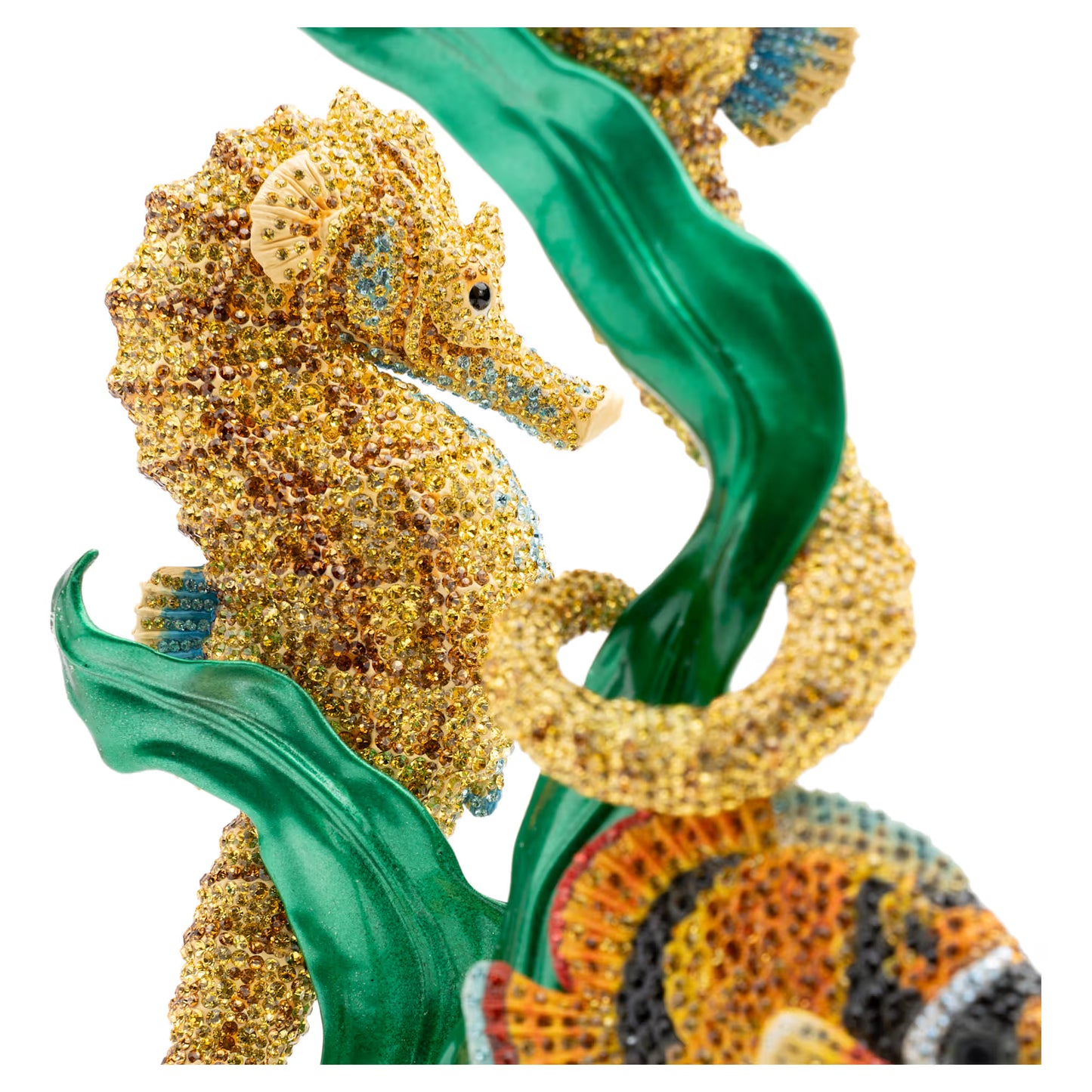 Crystal Myriad Hippocampus Kuda