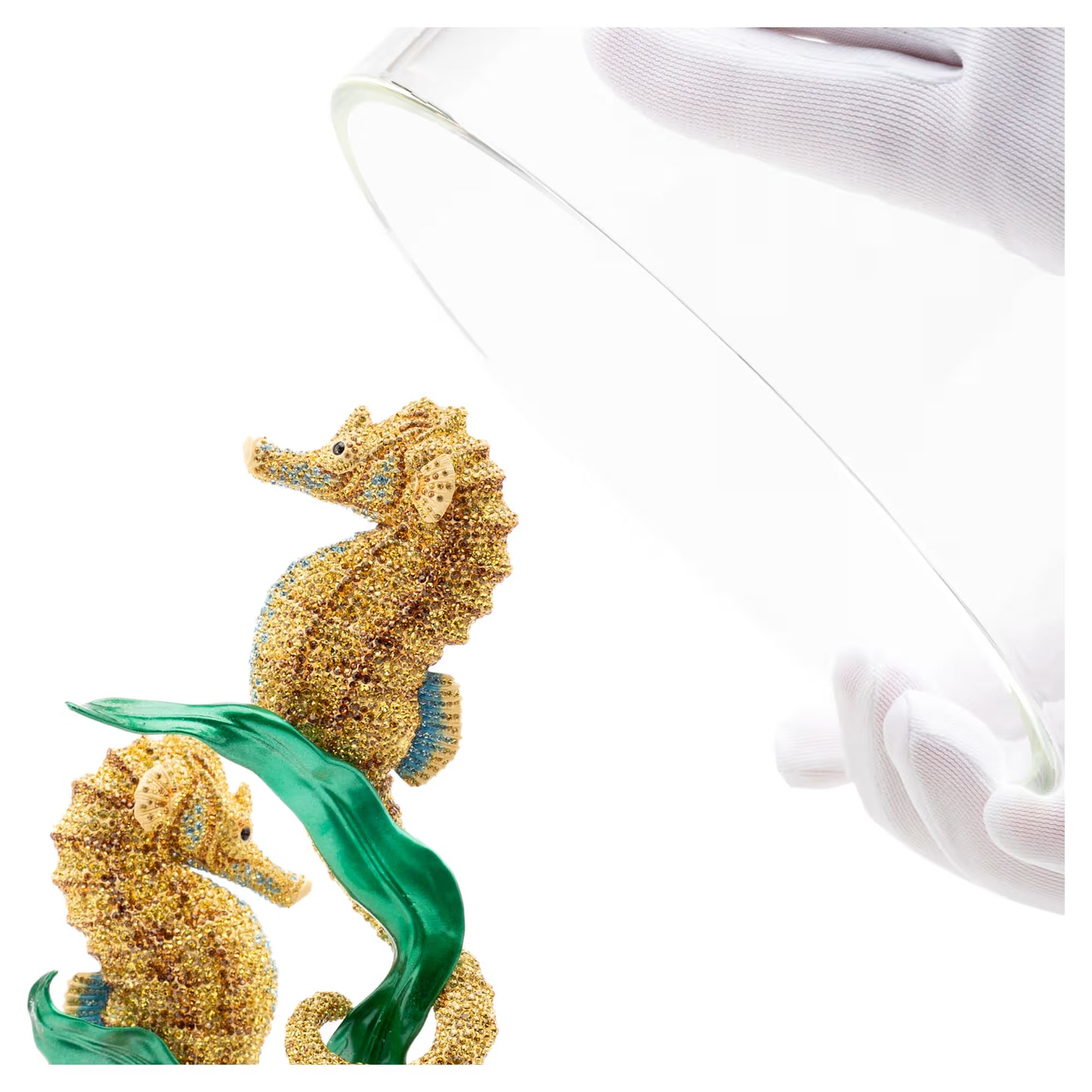 Crystal Myriad Hippocampus Kuda