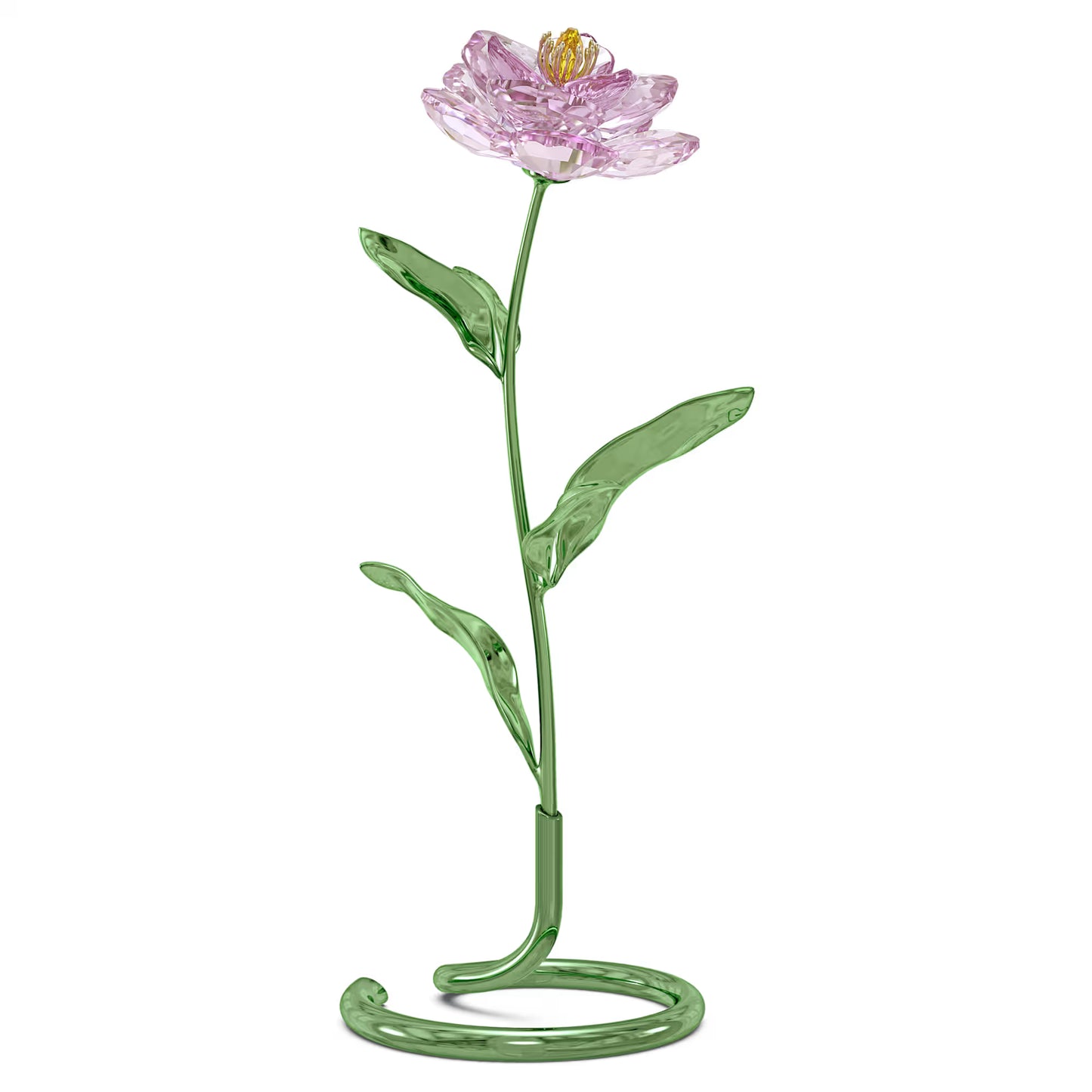 Florere Peony
