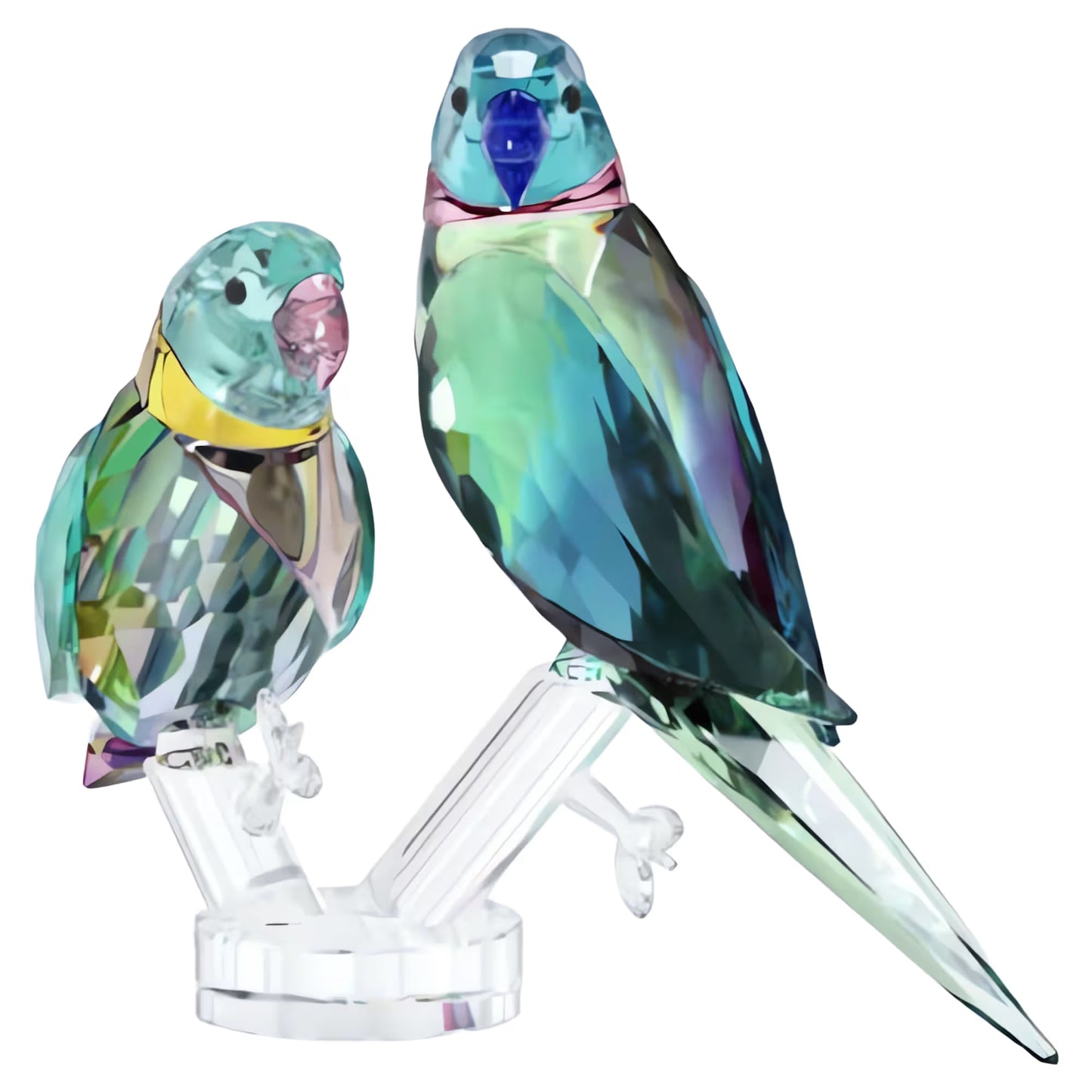 Parakeet Couple Fife & Fifer