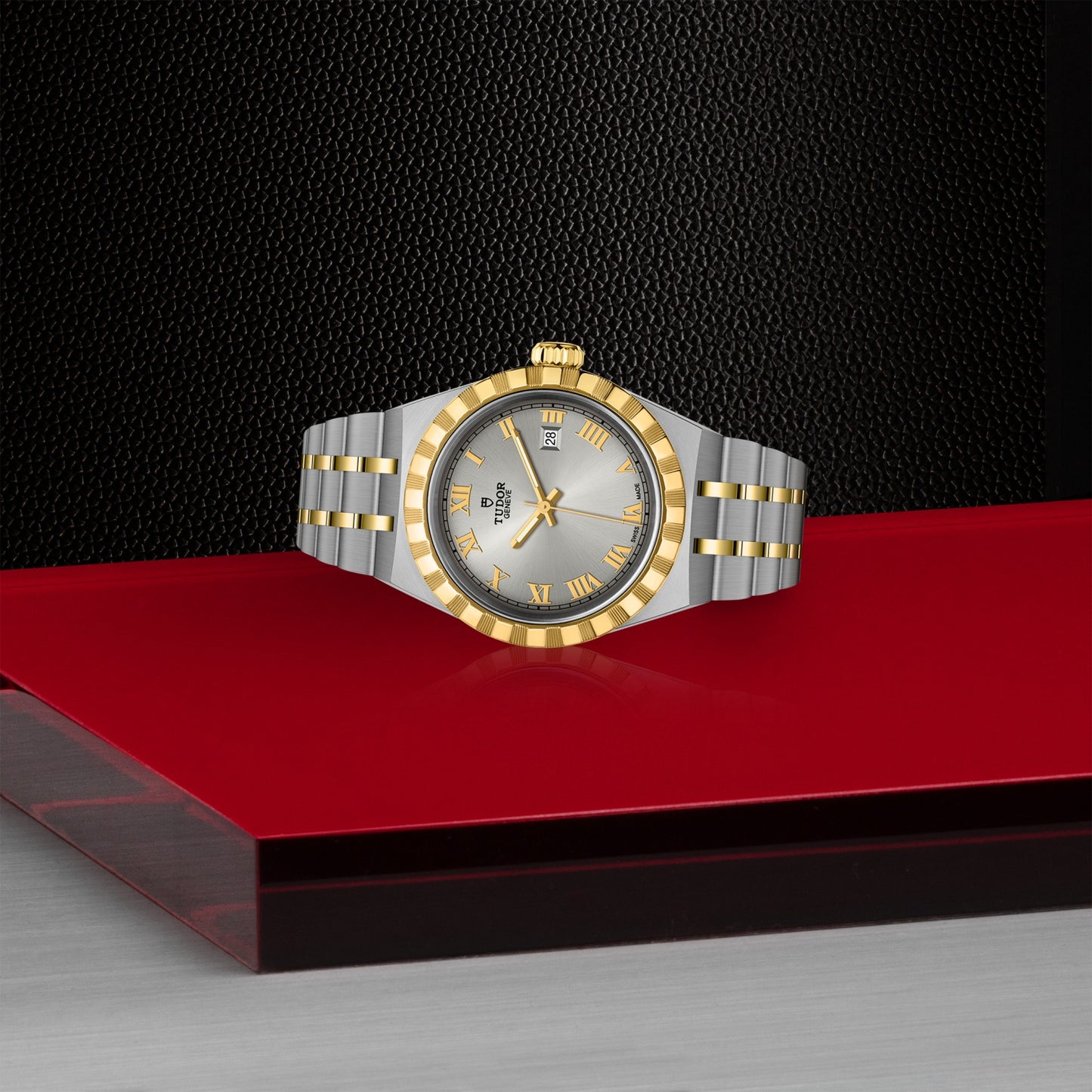 ROYAL 28mm | Steel Case Gold Bezel