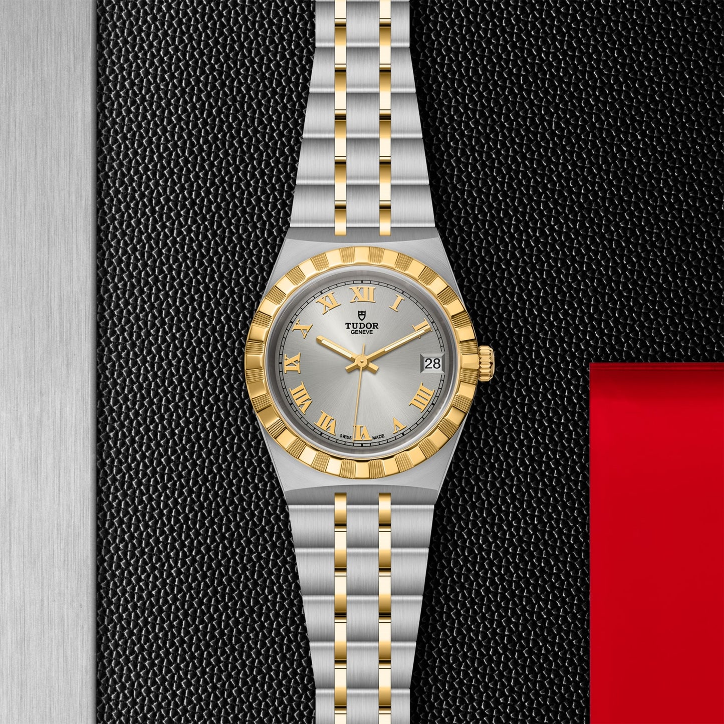 ROYAL 34mm | Steel Case Gold Bezel