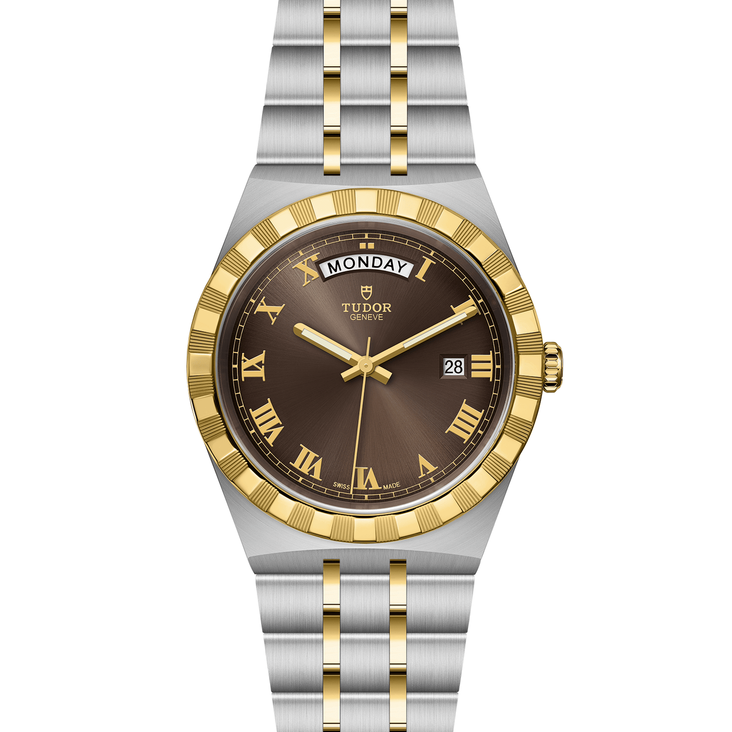 ROYAL 41mm | Steel Case Gold Bezel Chocolate Dial