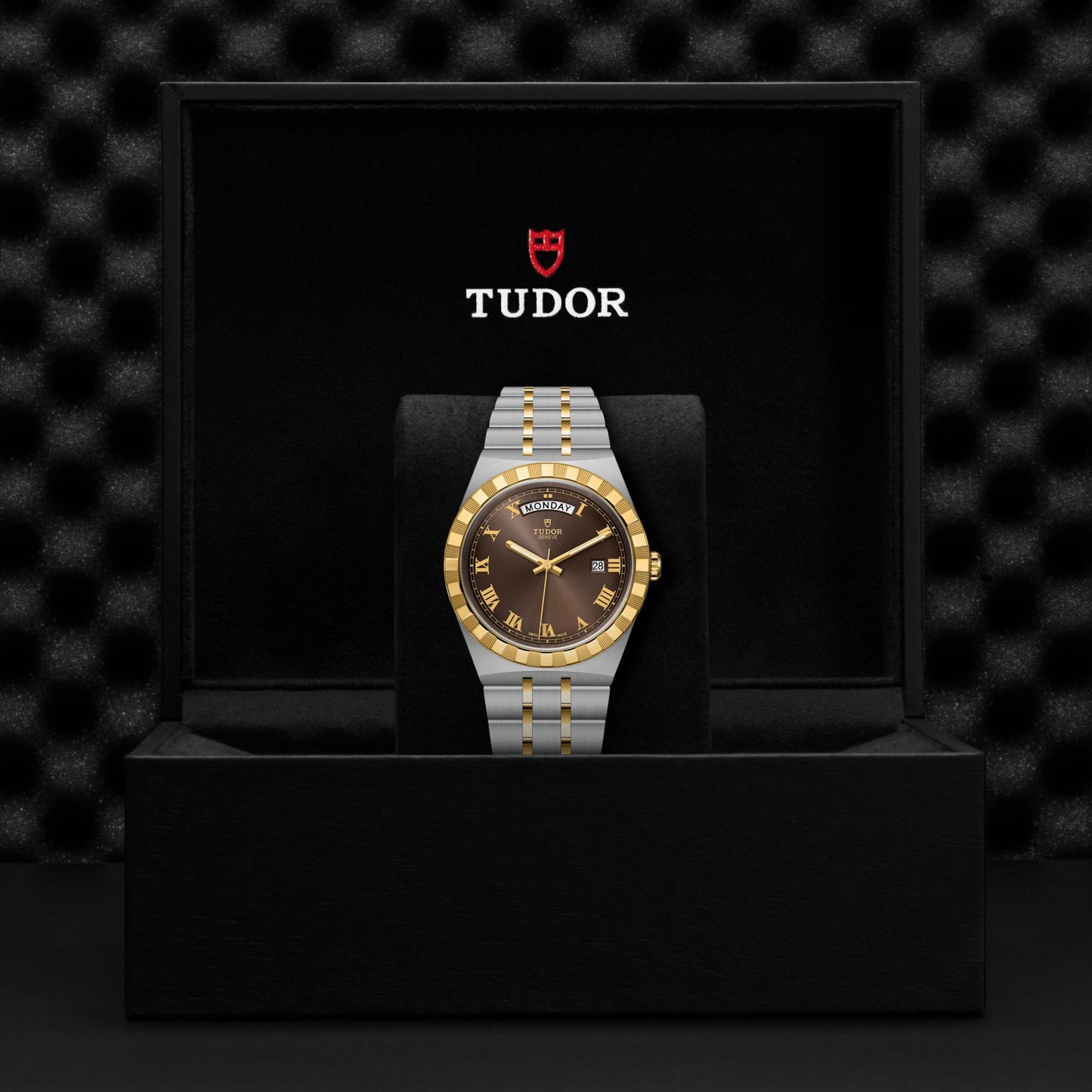 ROYAL 41mm | Steel Case Gold Bezel Chocolate Dial
