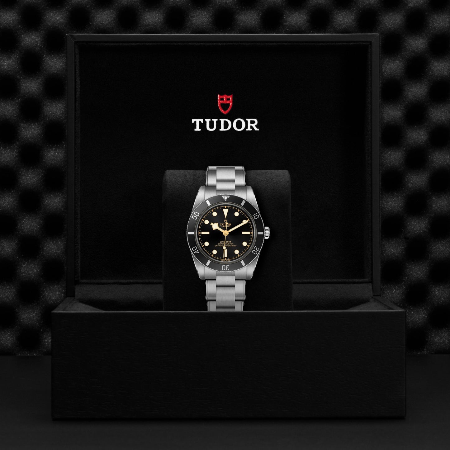 BLACK BAY 54 | 37mm Steel Case Black Dial