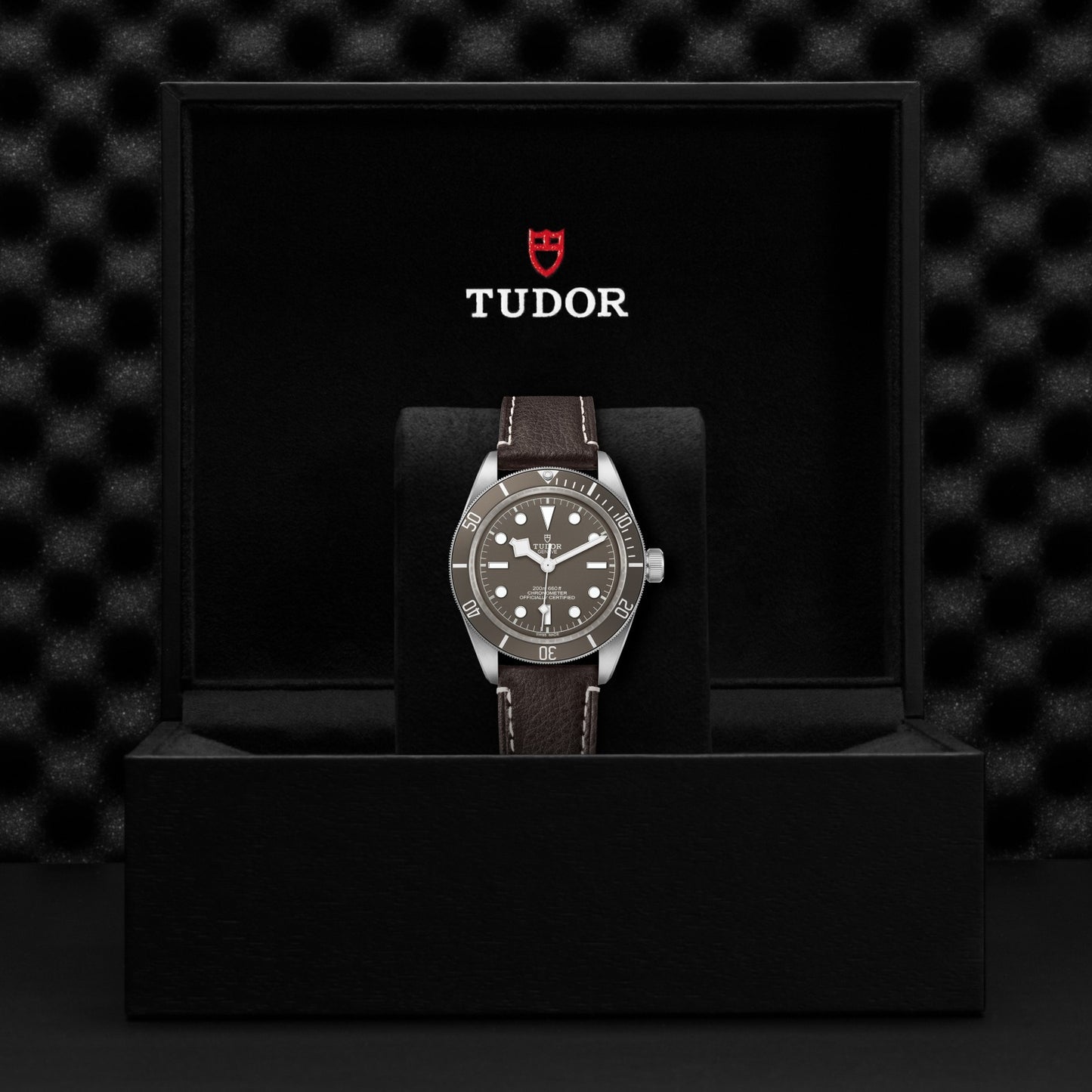 BLACK BAY 58 925 | 41mm Silver Case Taupe Dial