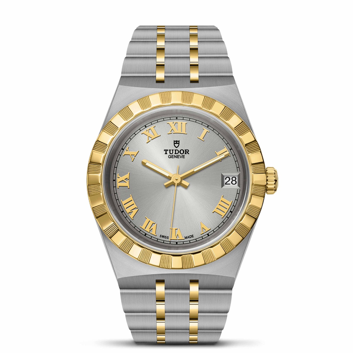 ROYAL 34mm | Steel Case Gold Bezel