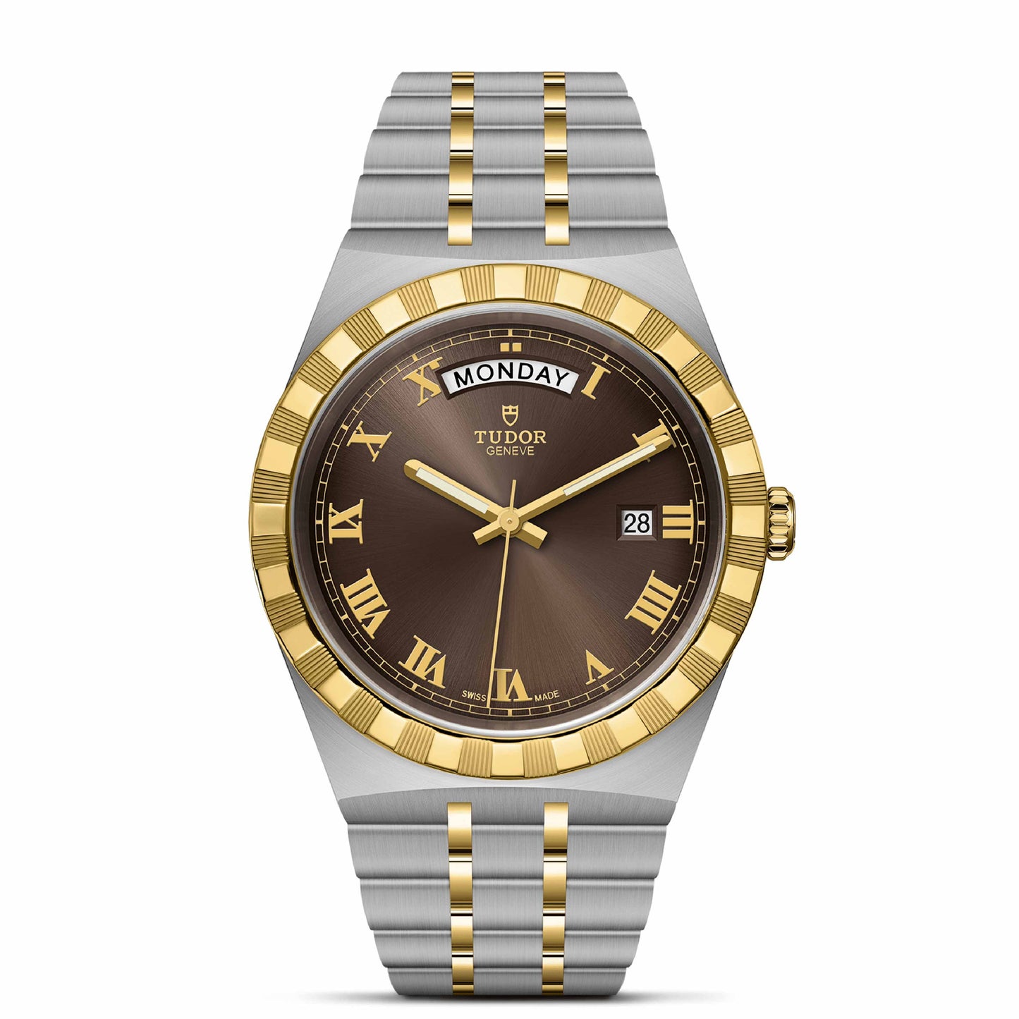 ROYAL 41mm | Steel Case Gold Bezel Chocolate Dial