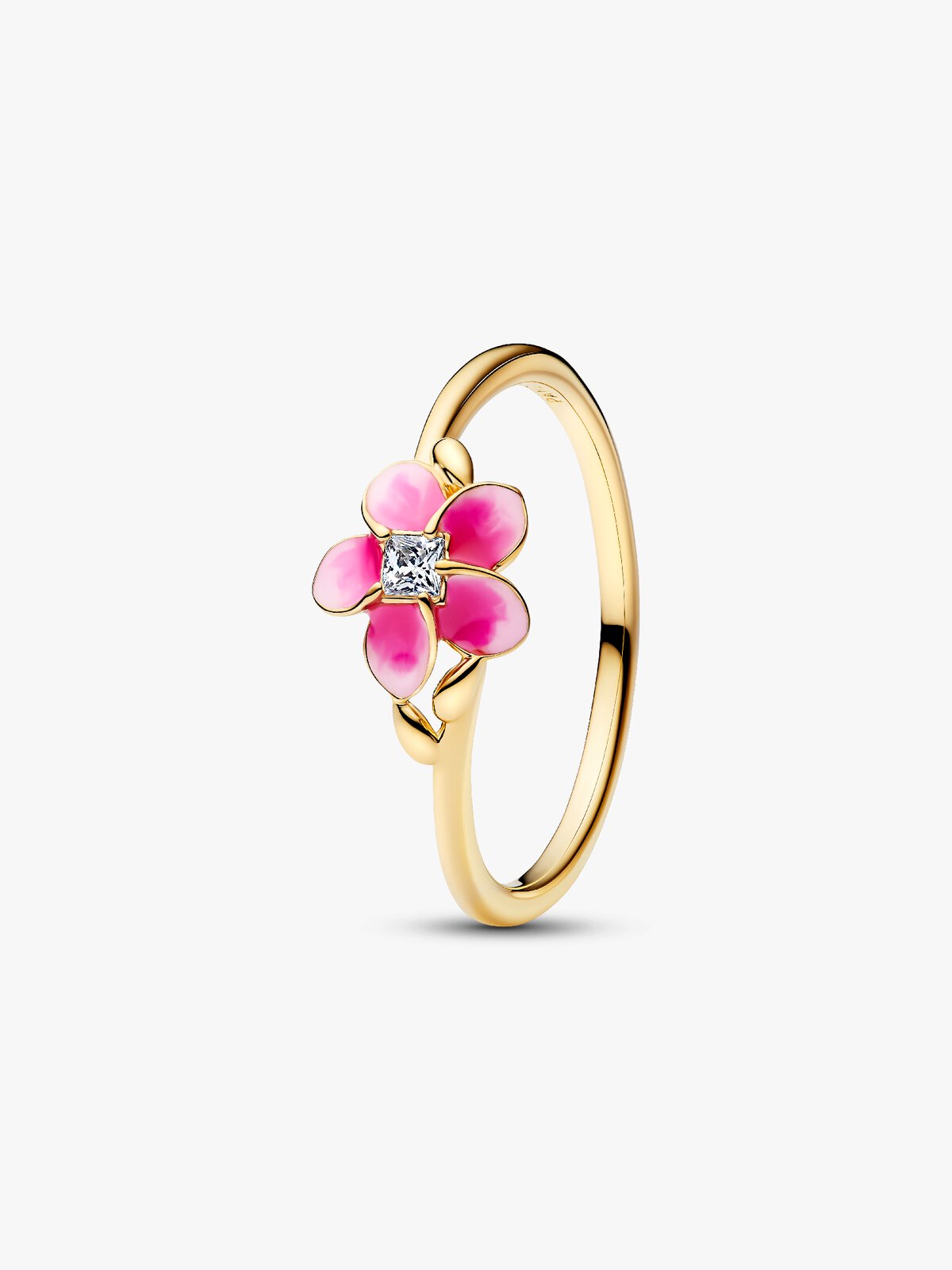 Pandora 163844C01