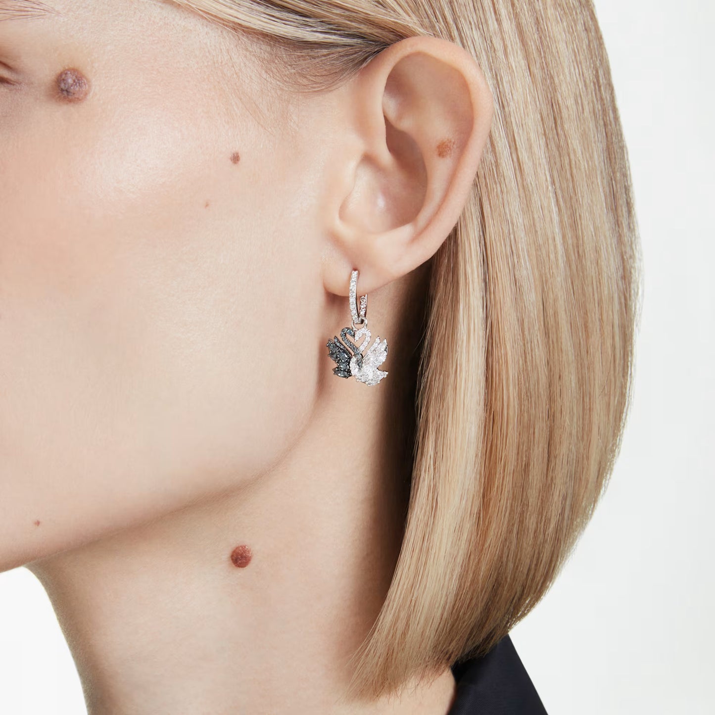 Swan drop earrings, Swan, Black, Rhodium plated