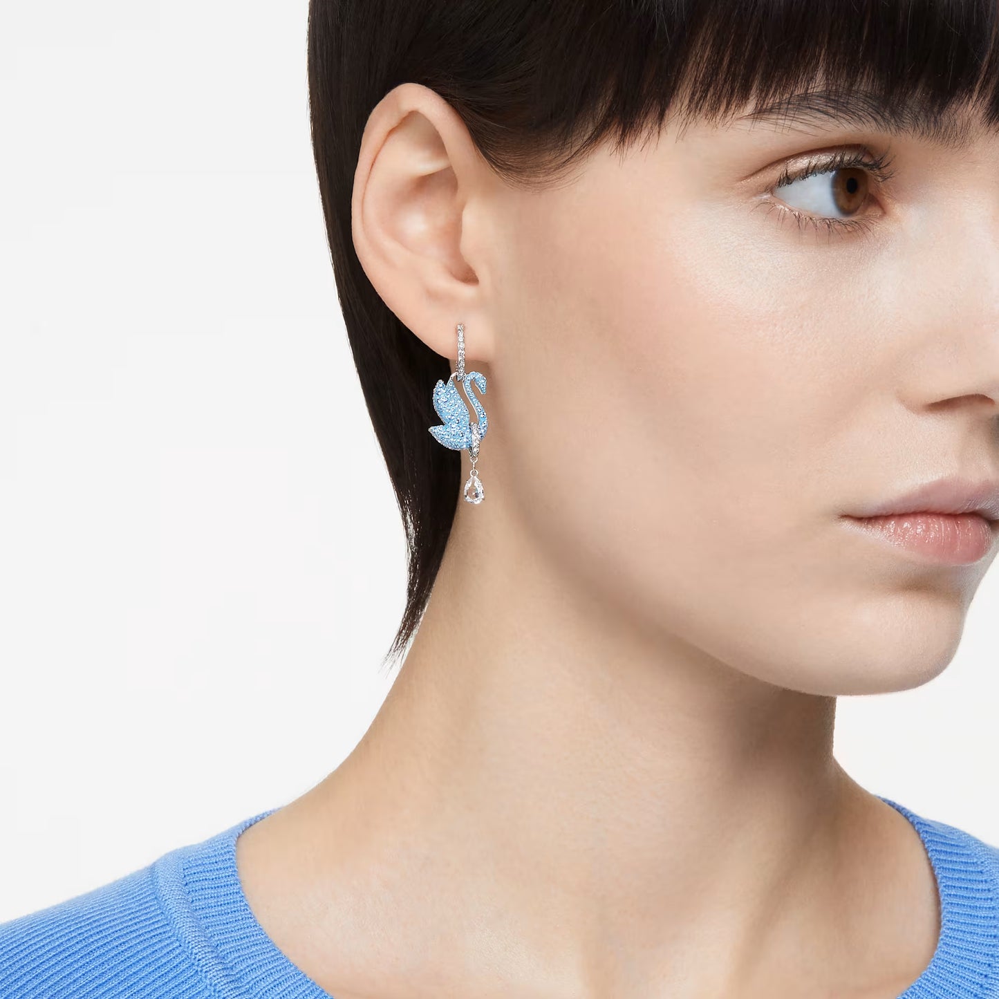 Swan drop earrings, Swan, Blue, Rhodium plated
