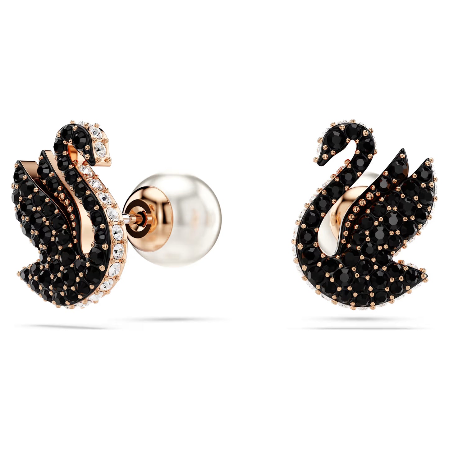 Swan stud earrings, Crystal pearl, Swan, Black, Rose gold-tone plated