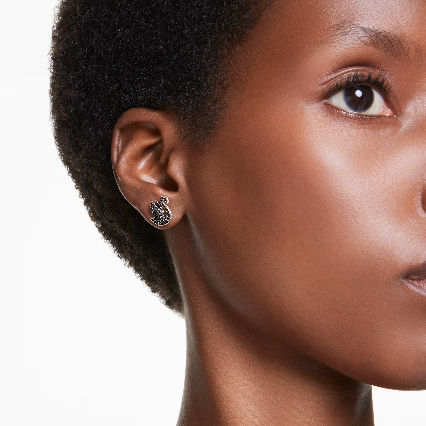 Swan stud earrings, Crystal pearl, Swan, Black, Rose gold-tone plated