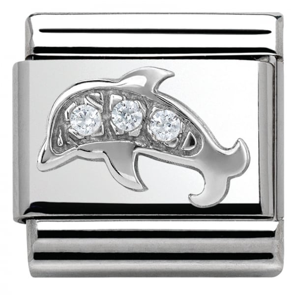 Silver Dolphin Charm